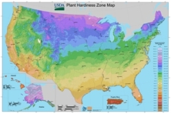 USDA Cold Hardiness Zone Map